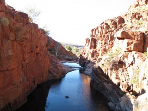 Three Pools, Newman