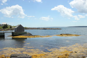 A small bay near Lunenburg