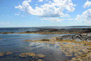 rocks_water_reflections