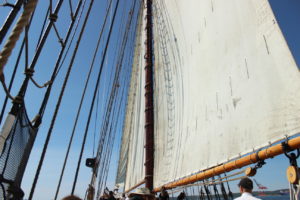 bluenoseII_sails